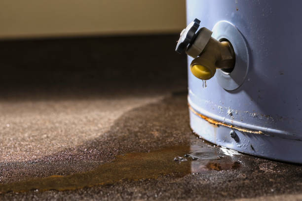 Best Local water damage restoration  in Old Town, ME