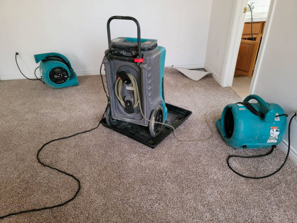 Best Water damage restoration experts  in Old Town, ME