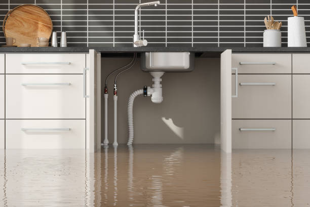 Best Flood damage cleanup  in Old Town, ME
