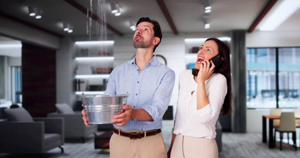 Best Water damage contractors near me  in Old Town, ME