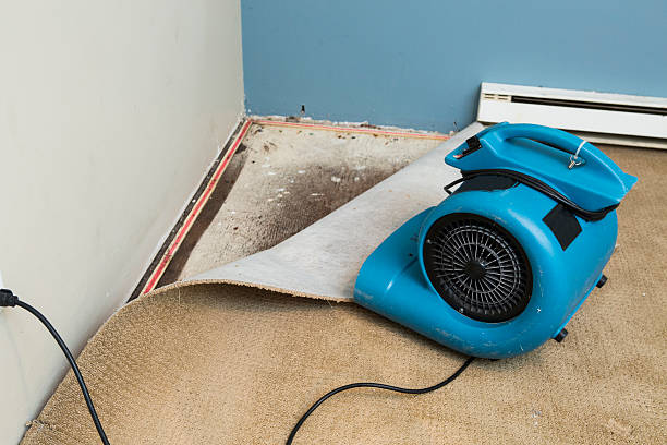 Best Basement water damage restoration  in Old Town, ME